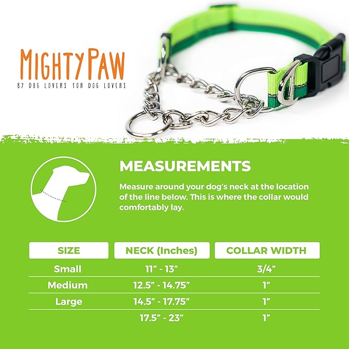 Mighty Paw Martingale Dog Collar - Gentle Correction with No More Pulling - Strong 100% Stainless Steel Chain - Weatherproof Won't Rust - Built to Last Premium Quality Nylon - Durable Plastic Buckle
