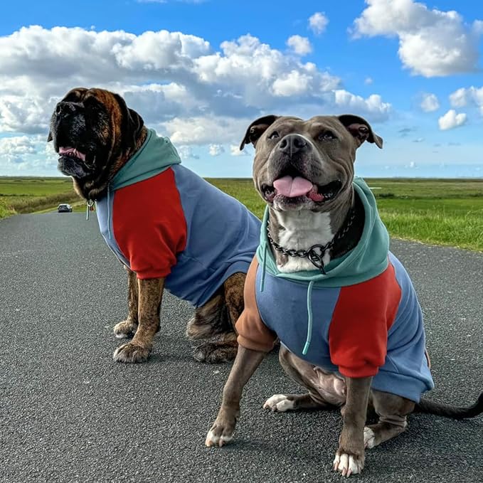 Spark Paws Dog Hoodie - Premium Quality, Buttery Soft, Superior Comfort and Fit, Calming Fleece Interior, Suitable for All Breeds - Alpine - 4XL