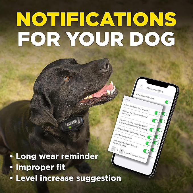 Dogtra Smart NOBARK – Detects Whining and Barking – App Control E-Collar, Usage Notification, Behavior Report, Waterproof IPX9K, 30 Yard Range, Compact Size for 10lbs Dogs, Triple Detection Accuracy