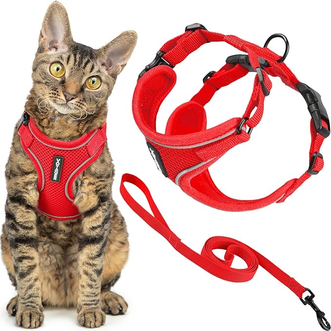 Voyager Escape Proof Cat Harness and Leash Set with Reflective Stitching, Neoprene Handle 5ft - Supports Small, Medium and Large Cats, Kittens for Walking by Best Pet Supplies - Red, XXXS