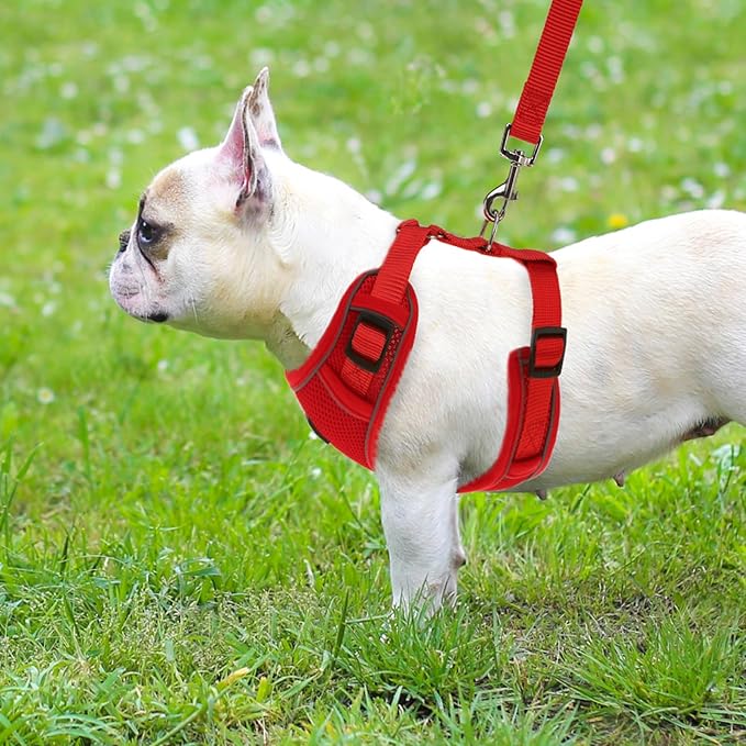 PUPTECK Dog Harness and Leash Set for Small Medium Dogs No Pull, Soft Mesh Adjustable Puppy Cat Harness Reflective at Night, Red M