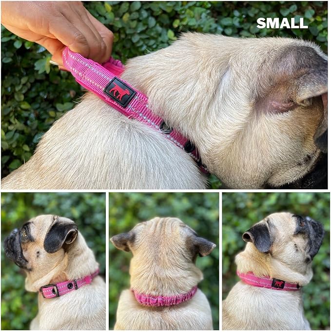 Heavy Duty Dog Collar with Handle | Ballistic Nylon Heavy Duty Collar | Padded Reflective Dog Collar with Adjustable Stainless Steel Hardware | Convenient Sizing for All Breeds