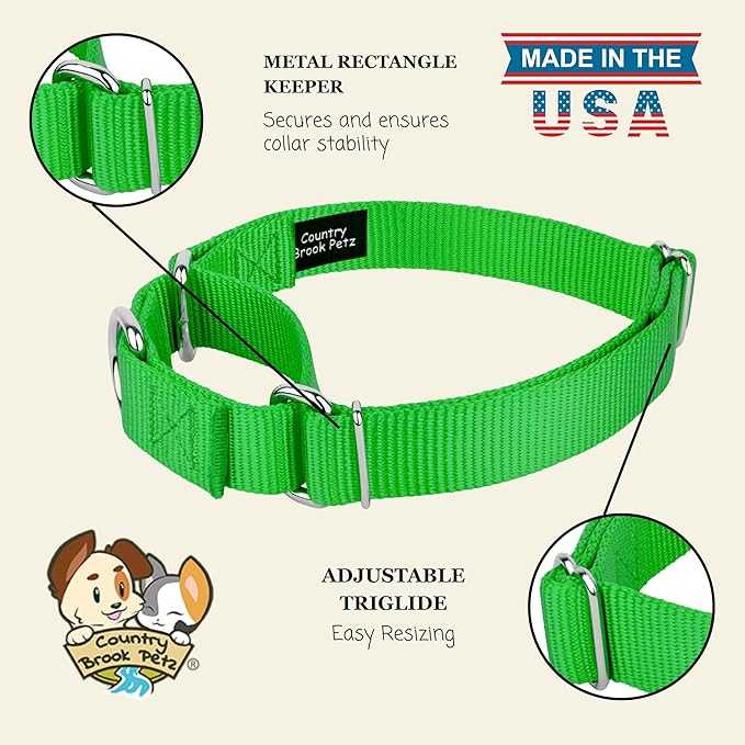 Country Brook Petz Martingale Dog Collar - Heavy-Duty Training Collar with No Buckle - Service Dog Collar for All Pups - Vibrant, Colorful Collection (Hot Green, 1 Inch, Extra Large)