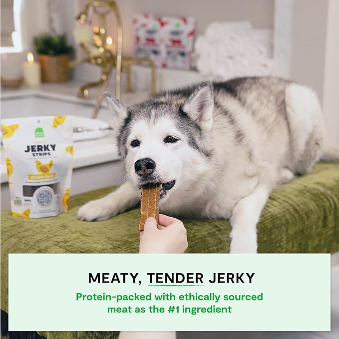 Open Farm Dehydrated Dog Treats, Gently Cooked Recipe with Natural Simple Ingredients and No Artificial Flavors or Preservatives (1 Pack Chicken Jerky)