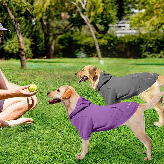 2 Pieces Basic Cotton Dog Hoodie Sweater, Soft Pet Clothes Dog Sweatshirts, Dog Outfit Coat Pullover with Pocket and Leash Hole for Small Medium Large Dogs, Dark Grey & Purple/Sleeved (Medium)