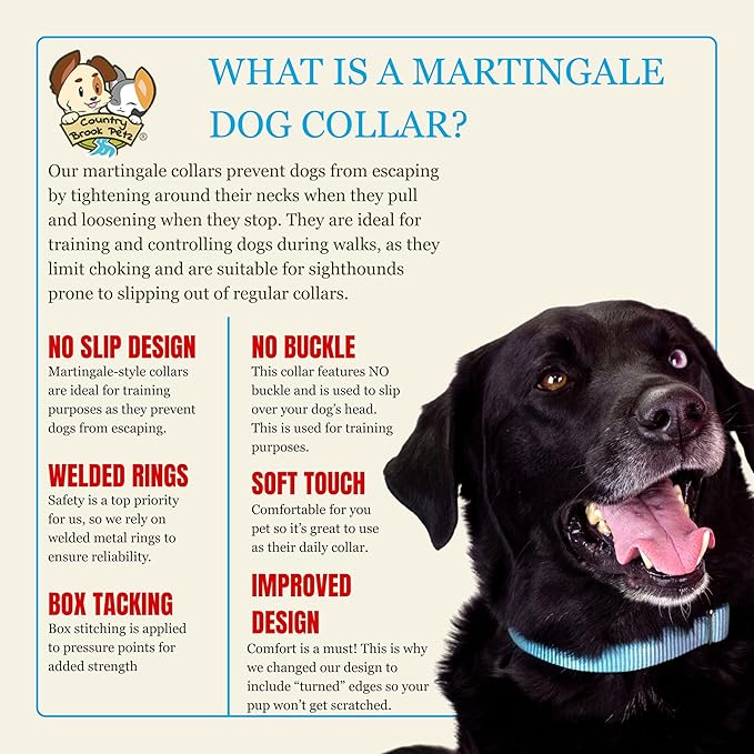 Country Brook Petz Martingale Dog Collar - Heavy-Duty Training Collar with No Buckle - Service Dog Collar for All Pups - Vibrant, Colorful Collection (Ocean Blue, 5/8 Inch, Extra Small)
