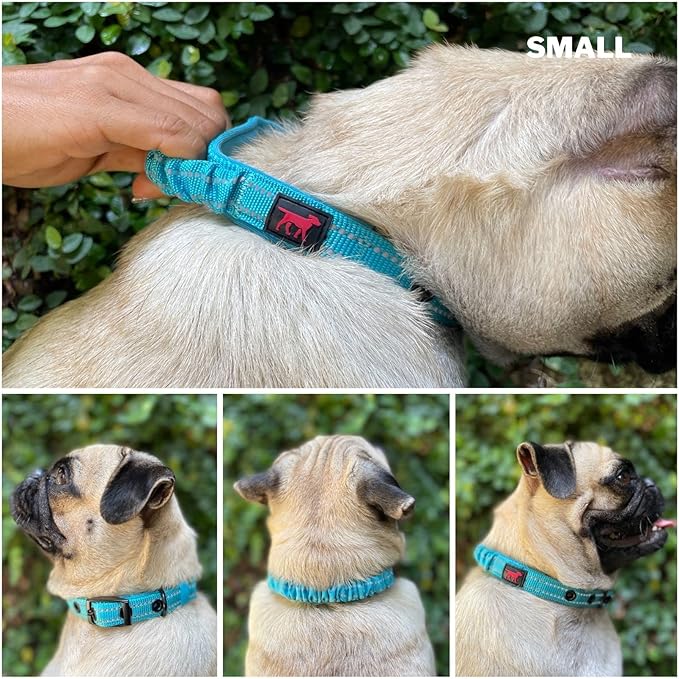 Tuff Pupper Heavy Duty Dog Collar with Handle | Ballistic Nylon Heavy Duty Collar | Padded Reflective Dog Collar with Adjustable Stainless Steel Hardware | Convenient Sizing for All Breeds