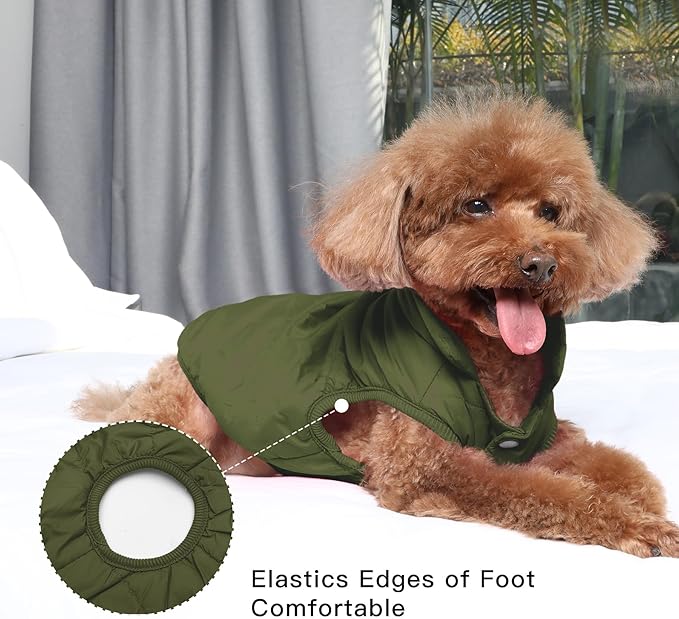 2 Layers Fleece Lined Warm Dog Jacket for Puppy Winter Cold Weather,Soft Windproof Small Dog Coat,Green XS