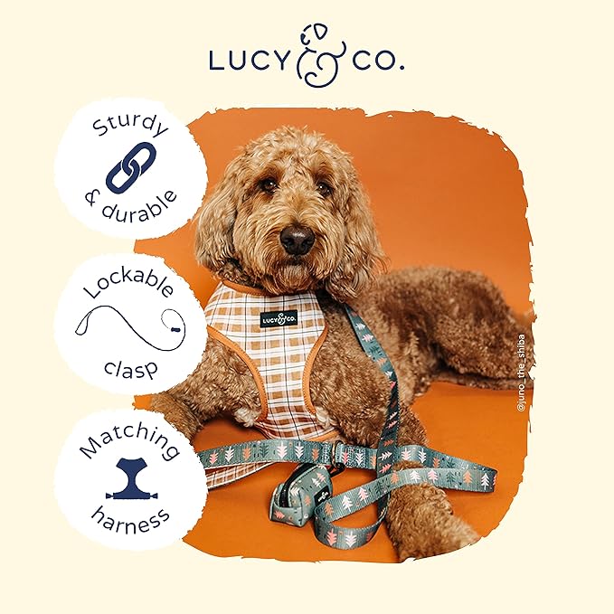 Lucy & Co. Designer Dog Leash - Pet Accessories - Thick Dog Leash - Padded Handle for Comfort - Purple with Green Floral - 5 Foot (Neutral Brown Plaid Blue Trees, Small)