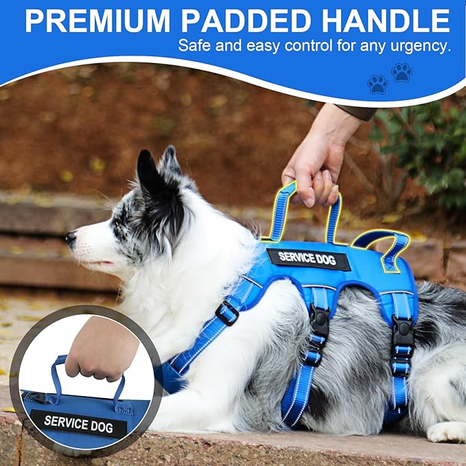 Escape Proof Dog Harness for Large Medium Sized Dogs Six Point Adjustable, Service Dog Vest Harness and Leash Set, No Pull Dogs Harnesses with Handle, Medium Dog Harnesses for Walking(Blue, M)