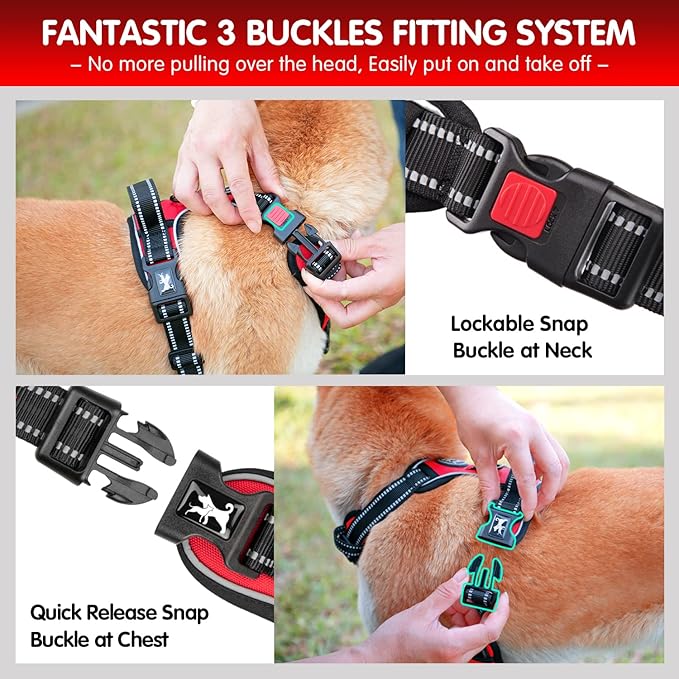 PoyPet Dog Harness and Leash Combo, Escape Proof No Pull Vest Harness, with 5 Feet Leash, Reflective Adjustable Soft Padded Pet Harness with Handle for Small to Large Dogs(Red,L)