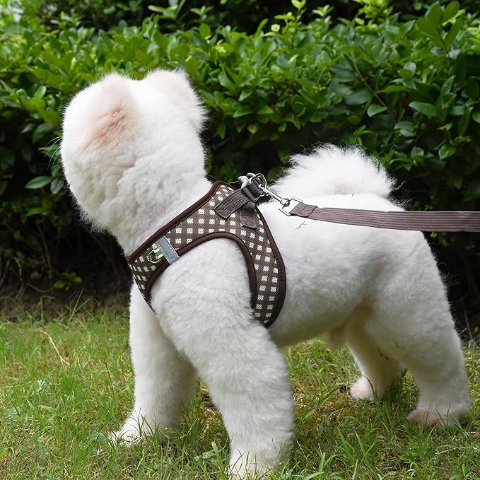 AIITLE No-Pull Pet Harness with a Leash, Plaid Comfort Padded Vest, Step in Dog Harness, Reflective Bands, Soft Breathable Pet Supplies, for Small and Medium Dogs and Cats Chocolate S