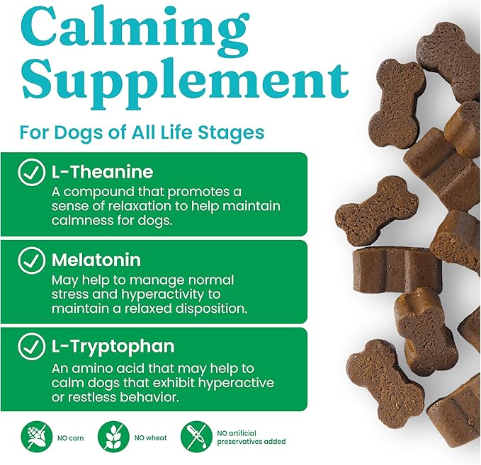 Solid Gold Calming Chews for Dogs - Soothing Snacks for Stress & Dog Stress Relief - Melatonin & Valerian Root - Dog Treats for Separation Stress Relief & Fireworks for All Breeds & Sizes - 60 Count