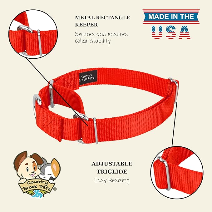 Country Brook Petz Martingale Dog Collar - Heavy-Duty Training Collar with No Buckle - Service Dog Collar for All Pups - Vibrant, Colorful Collection (Hot Orange, 5/8 Inch, Extra Small)