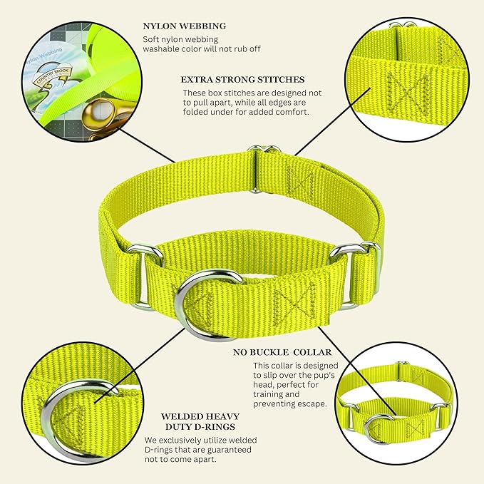 Country Brook Petz Martingale Dog Collar - Heavy-Duty Training Collar with No Buckle - Service Dog Collar for All Pups - Vibrant, Colorful Collection (Hot Yellow, 3/8 Inch, 2XS)