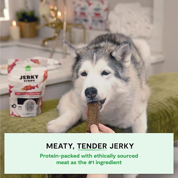 Open Farm, Dog Jerky Treats, Soft & Chewy Oven-Baked Jerky Strips Made with Ethically & Sustainably Sourced Ingredients, Protein Packed Dog Treats, Grain-Free Wild-Caugh Salmon Recipe, 5.6oz Pouch