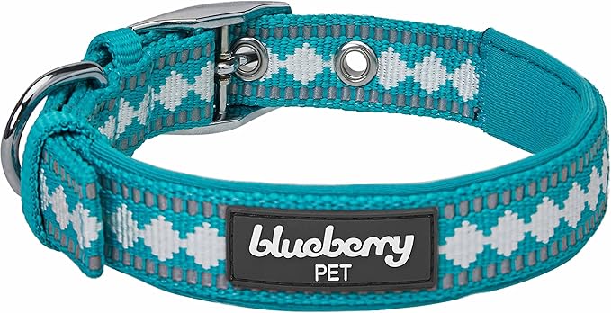 Blueberry Pet Soft & Safe 3M Reflective Jacquard Neoprene Padded Adjustable Dog Collar with Metal Buckle - Peacock, Neck 17-20.5", for Large Breed