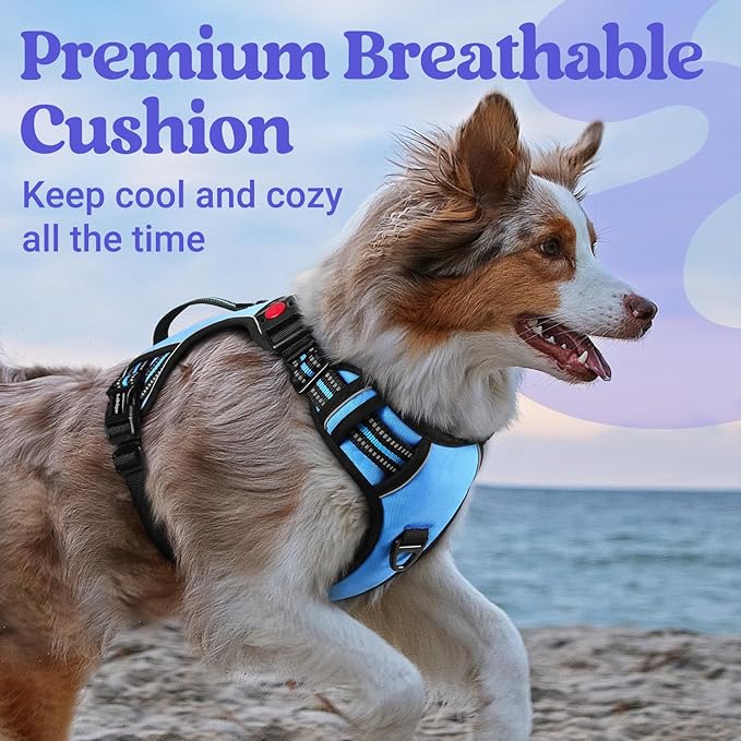 rabbitgoo Dog Harness Medium Sized, No Pull Pet Harness with Soft Padded Handle, Adjustable Reflective Vest with 3 Buckles, Easy Walking Harness with 2 Leash Clips, Light Blue, M