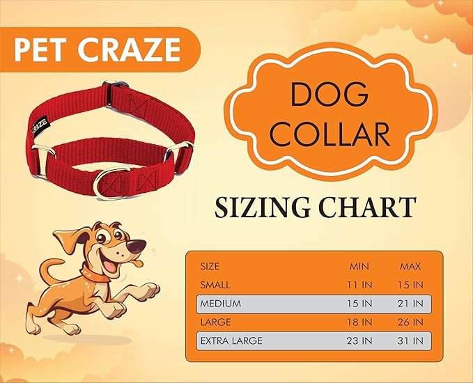 Martingale Dog Collar - Heavyduty Nylon Dog Collar with No Buckle Dog Training Collars for Medium Dogs (Red, Large)