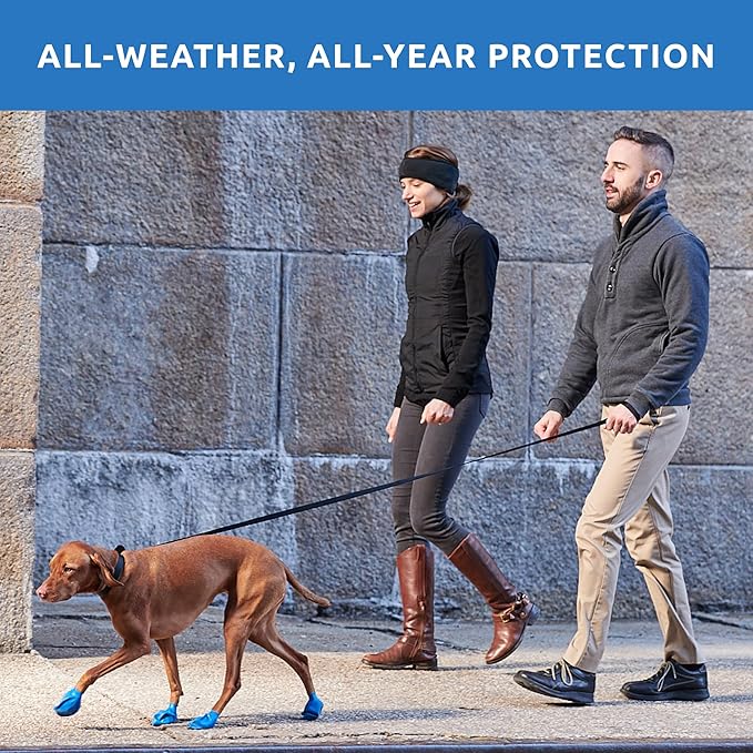 PawZ Rubber Dog Boots for Paws to 3" - All-Weather Dog Booties for Hot Pavement, Sand, Snow, Mud, and Rain - Anti Slip Dog Socks - M, Blue