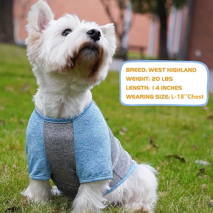 KYEESE Dog Shirts Quick Dry 2 Pack Breathable Lightweight Stretchy Dog T-Shirt with Reflective Label Raglan Sleeve Pet Apparel for Medium Dogs