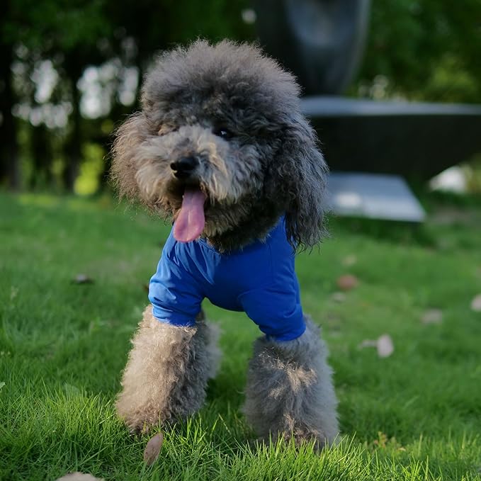 LoveLongLong Dog Jumpsuit with UV Protection and Quick-Dry Fabric for Spring Summer Pet Pajamas Royel Blue 2XL