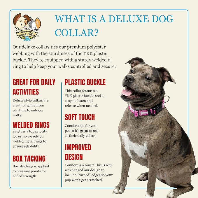 Country Brook Petz - Deluxe Sedona Stripes Dog Collar - Made in The U.S.A. - Country and Western Collection Featuring Rustic Designs (1 Inch, Medium)