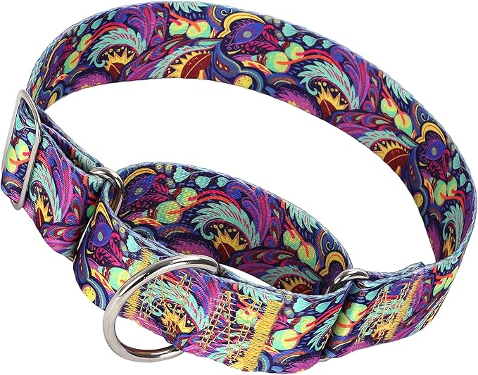 Martingale Dog Collar No-Pull Adjustable for Medium/Large Dogs - Heavy Duty 1.5" Wide Training Collar with Aztec Tribal Pattern, Durable Nylon Secure Fit (XL)