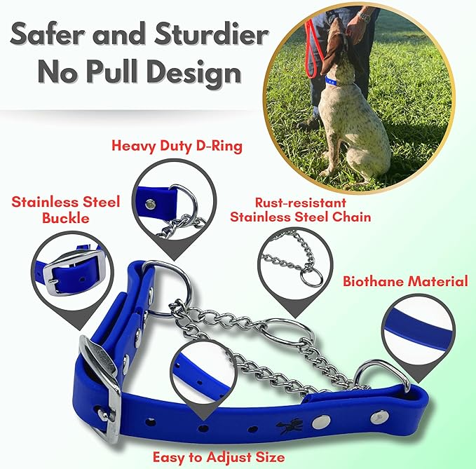 Martingale Collar for Dogs, Biothane, Stainless Steel Hardware, No Pull, Made in The USA, Professional Grade, XXS, Blue