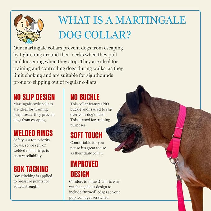 Country Brook Petz Martingale Dog Collar - Heavy-Duty Training Collar with No Buckle - Service Dog Collar for All Pups - Vibrant, Colorful Collection (Hot Pink, 3/8 Inch, 2XS)