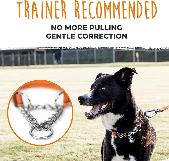 Mighty Paw Martingale Dog Collar 2.0 | Trainer Approved Limited Slip Collar with Stainless Steel Chain & Heavy Duty Buckle - Modified Cinch for Gentle & Effective Pet Training - Medium, Orange