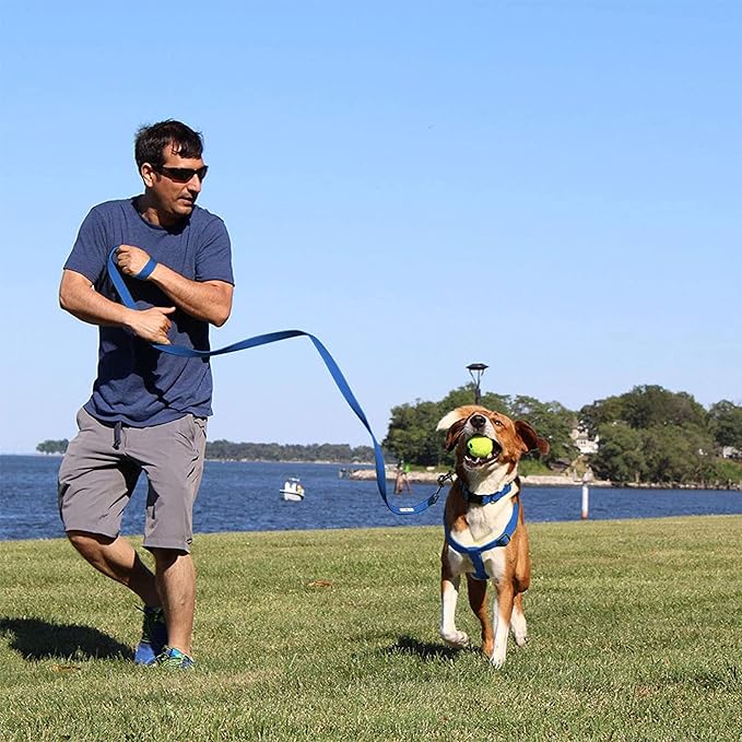 Pawtitas ♻️ Recycled Dog Harness with Reflective Stitched a Puppy Harness Made from Plastic Bottles Collected from Oceans Extra Small Blue Ocean