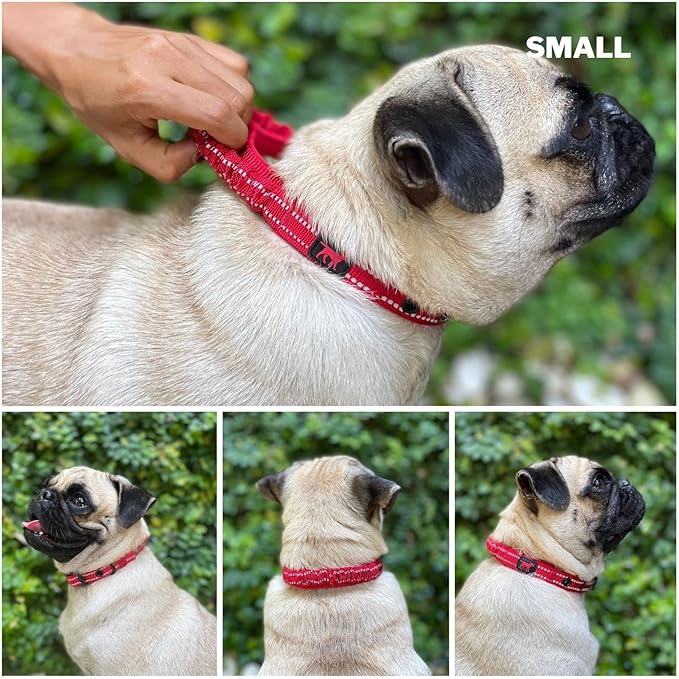 Tuff Pupper Heavy Duty Dog Collar with Handle | Ballistic Nylon Heavy Duty Collar | Padded Reflective Dog Collar with Adjustable Stainless Steel Hardware | Convenient Sizing for All Breeds