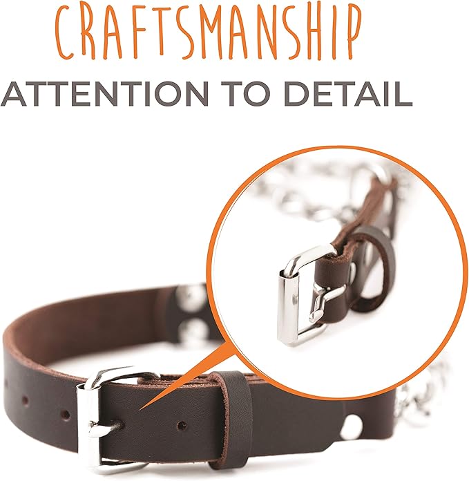 Mighty Paw Martingale Dog Collar - No Pull Design - Stainless Steel Chain - Limited Chain Cinch Training - Brown Leather Martingale Training Collar - Large Size
