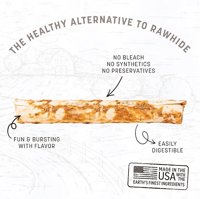Earth Animal No Hide Large Salmon Flavored Natural Rawhide Free Dog Chews Long Lasting Chew Sticks | Dog Treats for Large Dogs | Great Dog Chews for Aggressive Chewers (1 Pack)