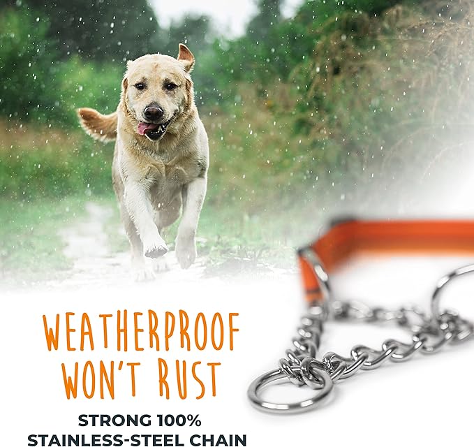 Mighty Paw Martingale Dog Collar 2.0 | Trainer Approved Limited Slip Collar with Stainless Steel Chain & Heavy Duty Buckle - Modified Cinch for Gentle & Effective Pet Training - S/M, Orange