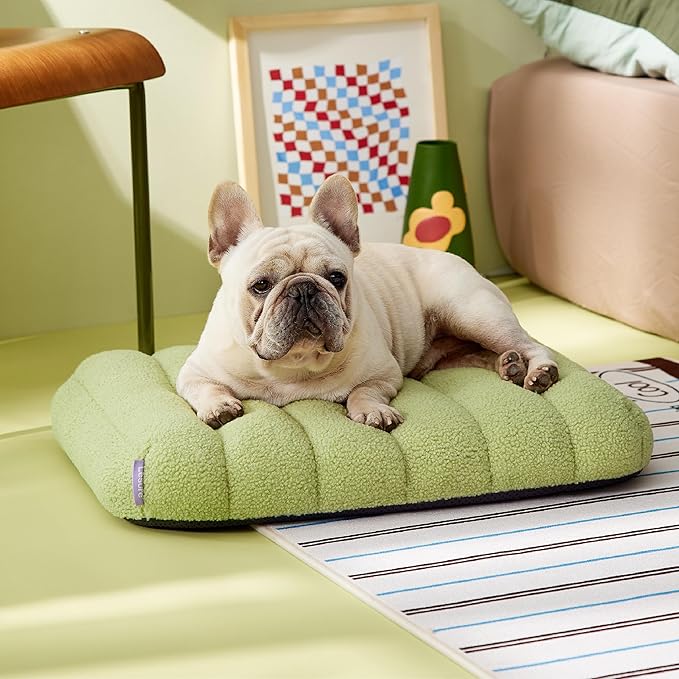 Lesure Cute Orthopedic Dog Bed for Small Dogs, Waterproof Chic Flat Pet Beds with Removable Washable Cover, Fuzzy Thick Egg Crate Foam Pet Mat for Indoor Use (24" x 18", Green)