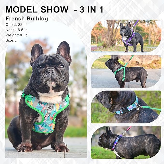BEAUTYZOO Step in Dog Harness Collar and Leash Set for Small Medium Large Dogs, No Pull No Choke Puppy Harness, Soft Mesh Reflective Pet Padded Vest Adjustable for Doggie Girl or Boy,French Bulldog