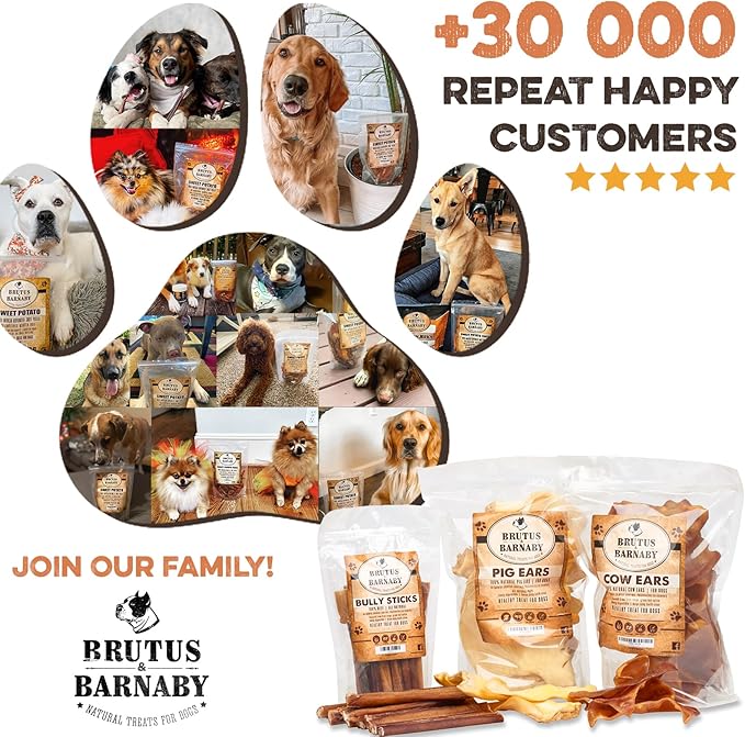 BRUTUS & BARNABY Jumbo Bully Sticks for Large Dogs - (10-Pack) No Hormones Added and Grain Free, Low Odor Bullie, Large, Thick, 12" Bully Bones for Dogs or Puppies