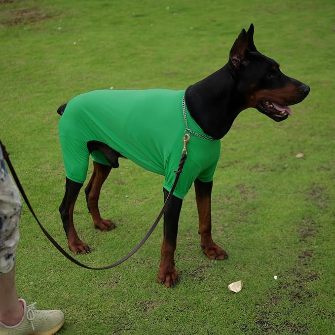 LoveLongLong Dog Jumpsuit with UV Protection and Quick-Dry Fabric for Spring Summer Pet Pajamas Leaf Green M