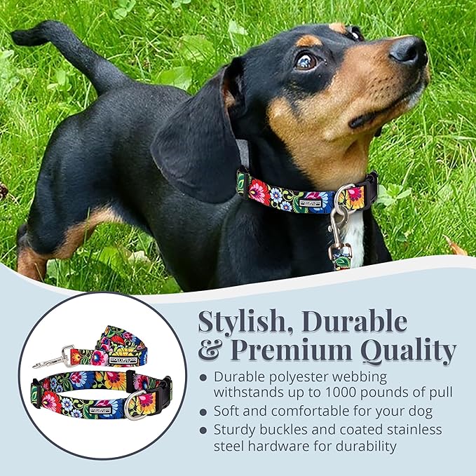 Lucky Love Dog - Easy Click Buckle Dog Collar with Leash Set Combo, Durable & Comfortable for Male & Female Dogs, Pet Collar for Small to Large Dogs, Secure Fit - Blackbird Combo, X-Small