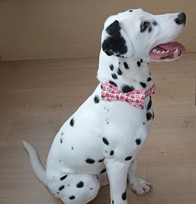 ARING PET Summer Pink Watermelon Dog Collar with Bow, Adjustable Cotton Bowtie Collar with Metal Buckle
