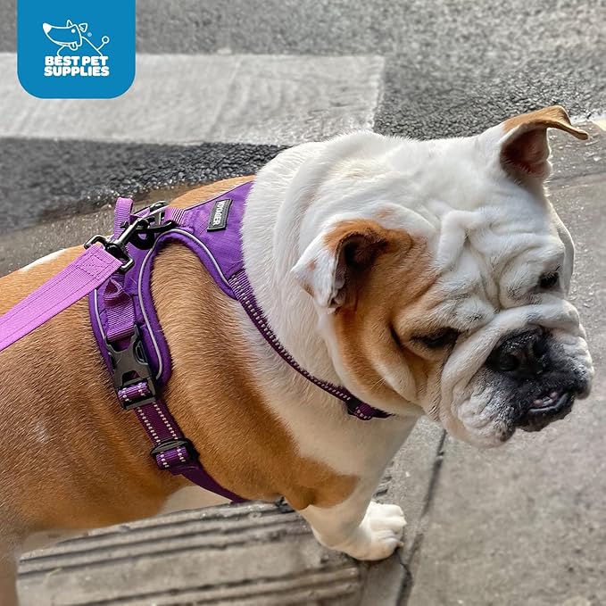 No Pull Dog Harness for Large Dogs, Dual Leash Attachments, Adjustable Soft but Strong Pet Harness with 3M Reflective Technology, Purple Lattice Nylon, M (Chest: 20-25")