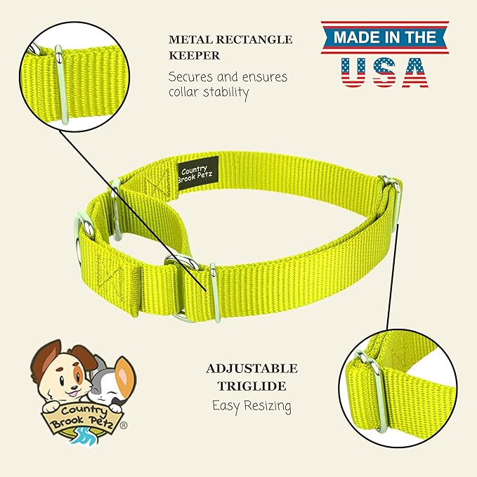 Country Brook Petz Martingale Dog Collar - Heavy-Duty Training Collar with No Buckle - Service Dog Collar for All Pups - Vibrant, Colorful Collection (Hot Yellow, 3/8 Inch, 2XS)