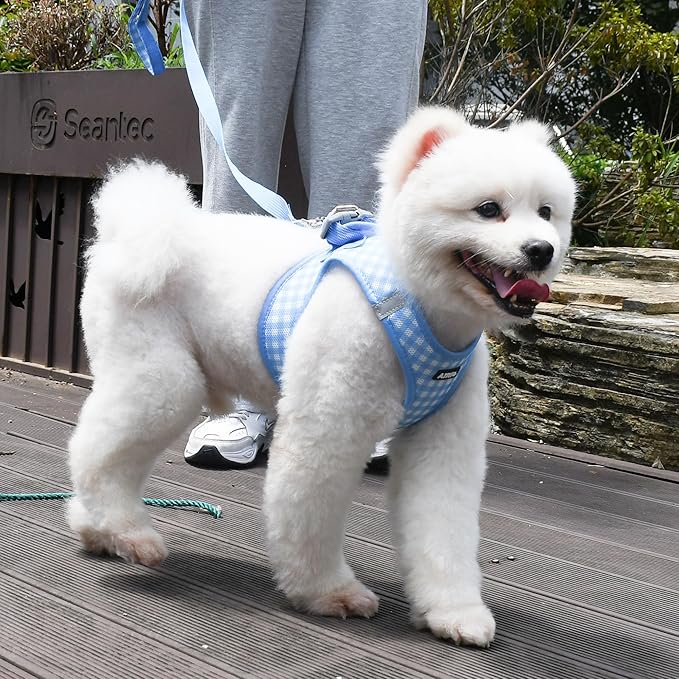 AIITLE No-Pull Pet Harness with a Leash, Plaid Comfort Padded Vest, Step in Dog Harness, Reflective Bands, Soft Breathable Pet Supplies, for Small and Medium Dogs and Cats Blue S