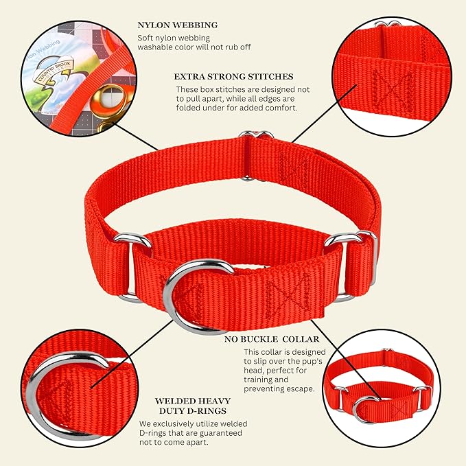 Country Brook Petz Martingale Dog Collar - Heavy-Duty Training Collar with No Buckle - Service Dog Collar for All Pups - Vibrant, Colorful Collection (Hot Orange, 5/8 Inch, Extra Small)