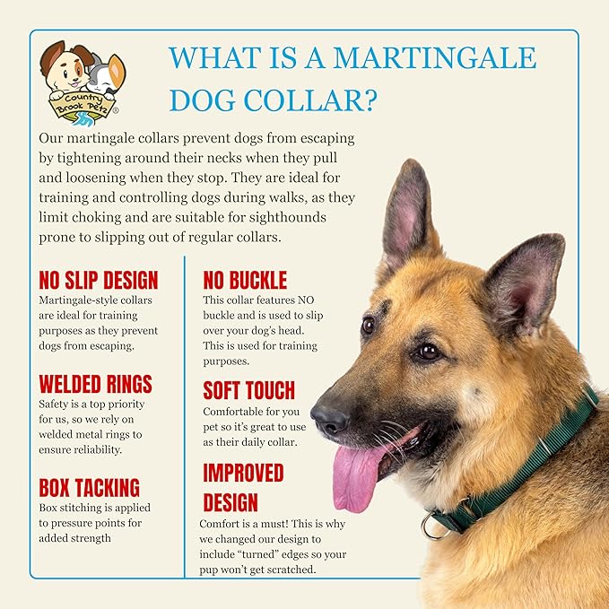Country Brook Petz Martingale Dog Collar - Heavy-Duty Training Collar with No Buckle - Service Dog Collar for All Pups - Vibrant, Colorful Collection (Christmas Green, 5/8 Inch, Extra Small)
