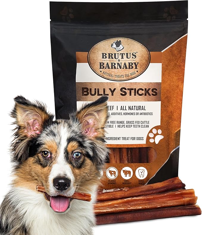 BRUTUS & BARNABY Thick Bully Sticks for Dogs – Odor Free Chews for Large, Medium & Small Breeds – Grain-Free, Rawhide-Free, Digestible Dog Treats – Grass-Fed Beef Chews for Aggressive Chewers