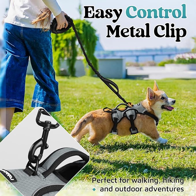 rabbitgoo Escape Proof Dog Harness, Soft Padded Full Body Pet Harness, Reflective Adjustable No Pull Vest with Lift Handle and Leash Clip for Large Dogs Walking Hiking Training, S, Grey