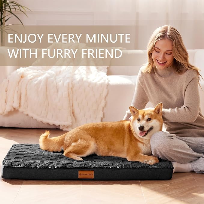 Patas Lague Orthopedic Dog Bed for Small Dogs, Waterproof Soft Warm Comfortable Egg Crate Foam Small Pet Beds Mat with Removable Washable Cover and Nonskid Bottom, 20''X15'' Black